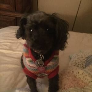 Meet your Posher, Kim